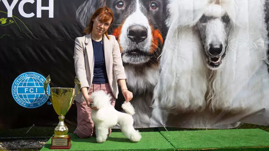 Przygotowanie do Wystawy